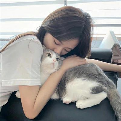 抱歉打扰